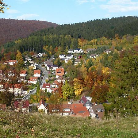 Pension Rheingold Garni Bad Grund Luaran gambar