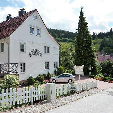 Pension Rheingold Garni Bad Grund Luaran gambar