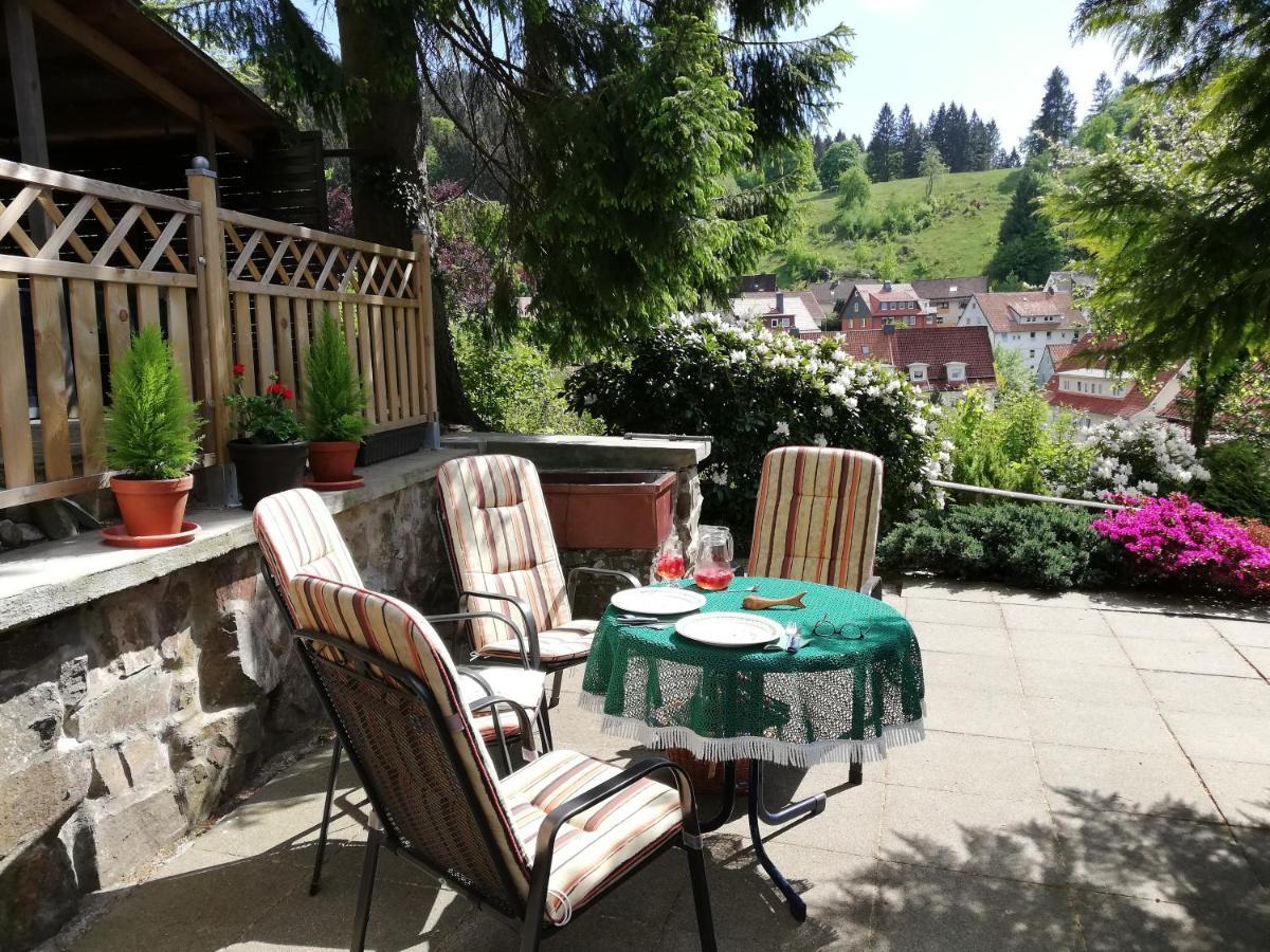 Pension Rheingold Garni Bad Grund Luaran gambar