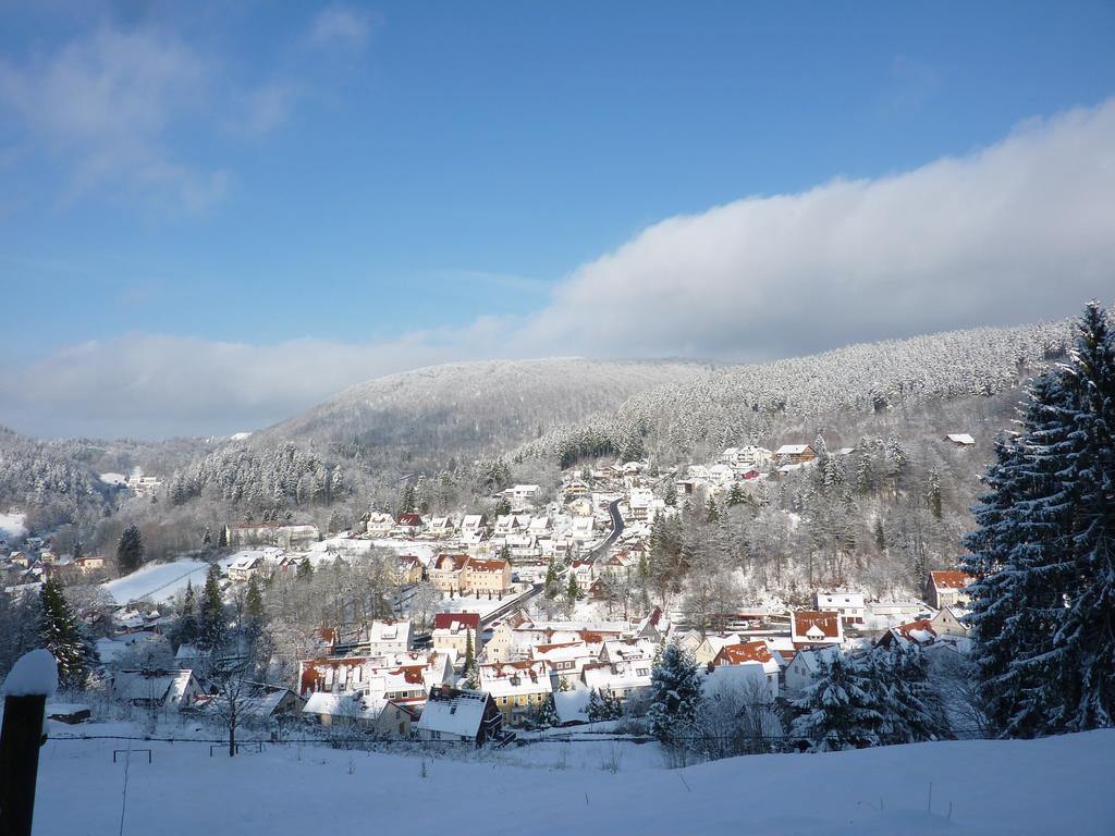 Pension Rheingold Garni Bad Grund Luaran gambar