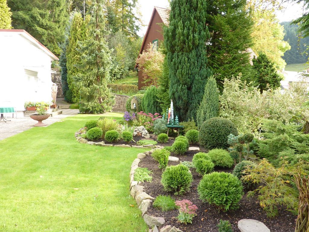 Pension Rheingold Garni Bad Grund Bilik gambar