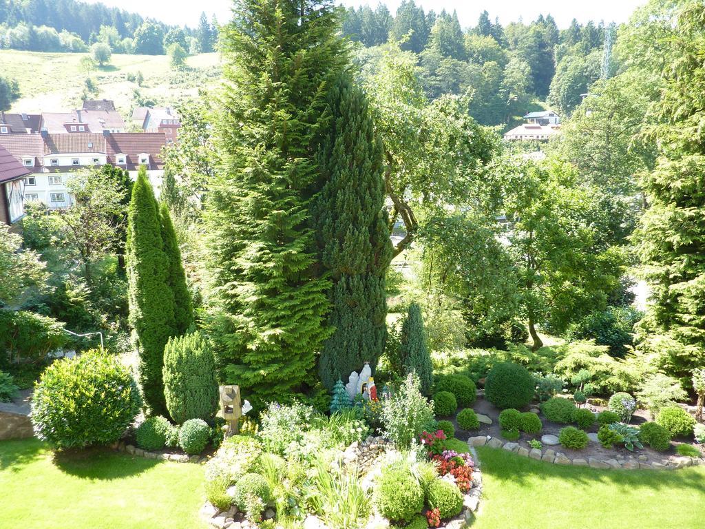 Pension Rheingold Garni Bad Grund Luaran gambar