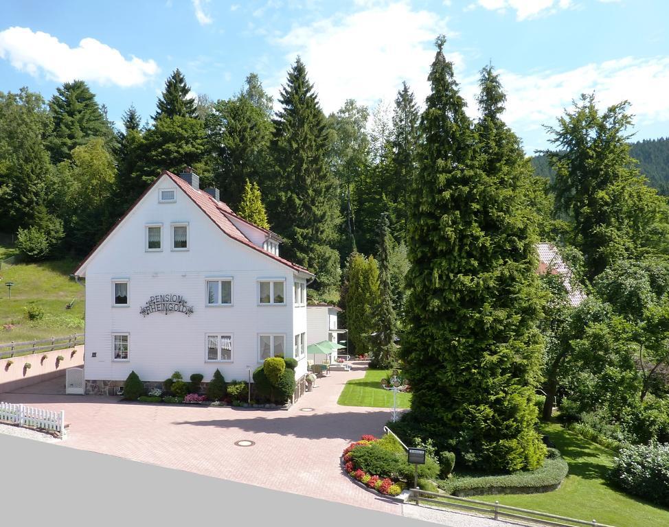 Pension Rheingold Garni Bad Grund Luaran gambar