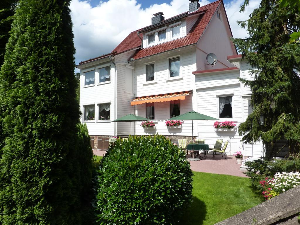 Pension Rheingold Garni Bad Grund Luaran gambar