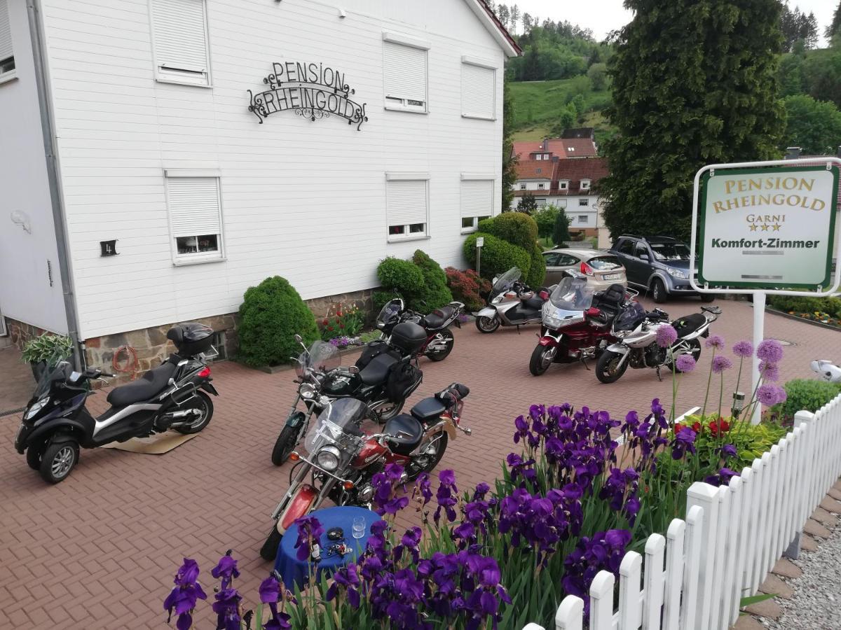Pension Rheingold Garni Bad Grund Luaran gambar