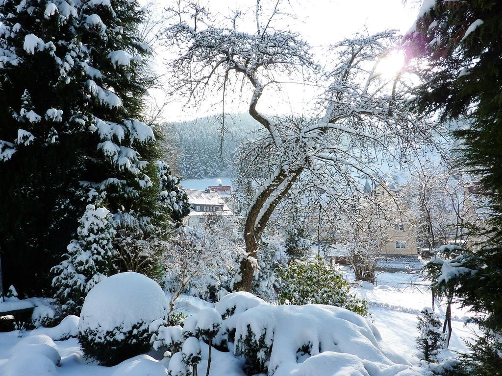 Pension Rheingold Garni Bad Grund Luaran gambar