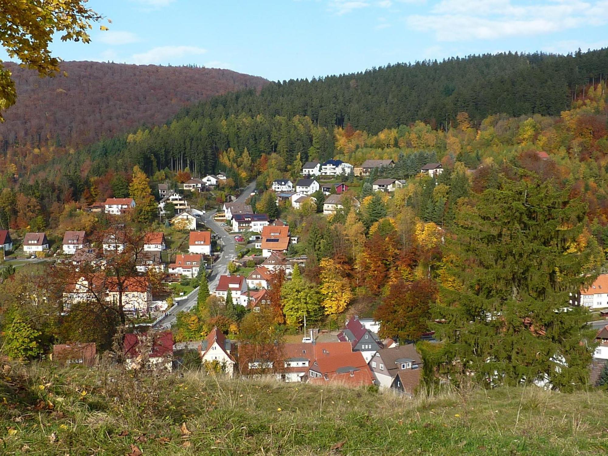 Pension Rheingold Garni Bad Grund Luaran gambar