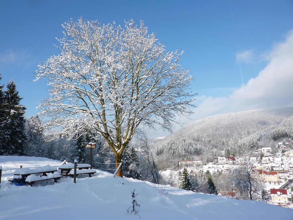 Pension Rheingold Garni Bad Grund Luaran gambar