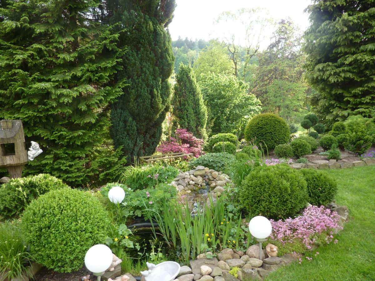 Pension Rheingold Garni Bad Grund Luaran gambar