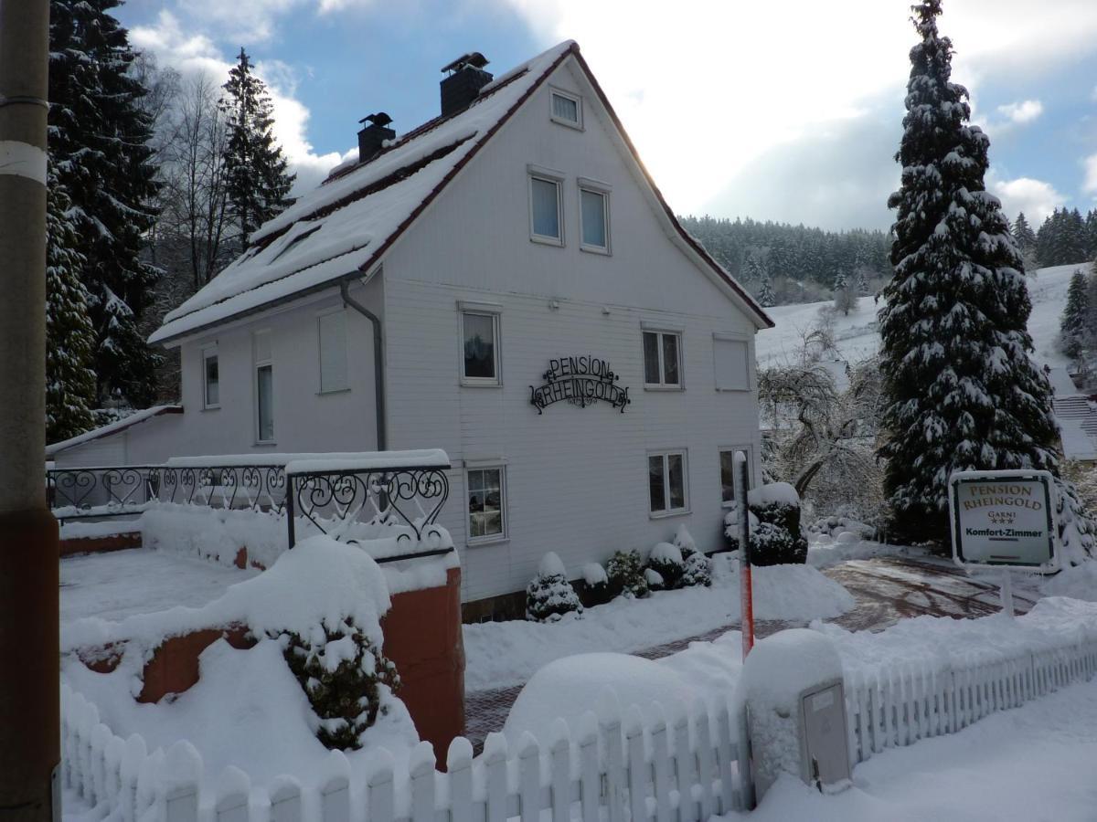 Pension Rheingold Garni Bad Grund Luaran gambar